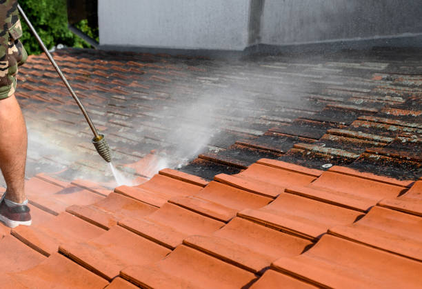 Best Local Pressure Washing Services  in Cicero, IL